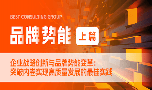 【上篇】企业战略创新与品牌势能变革：突破内卷实现高质量发展的最佳实践！