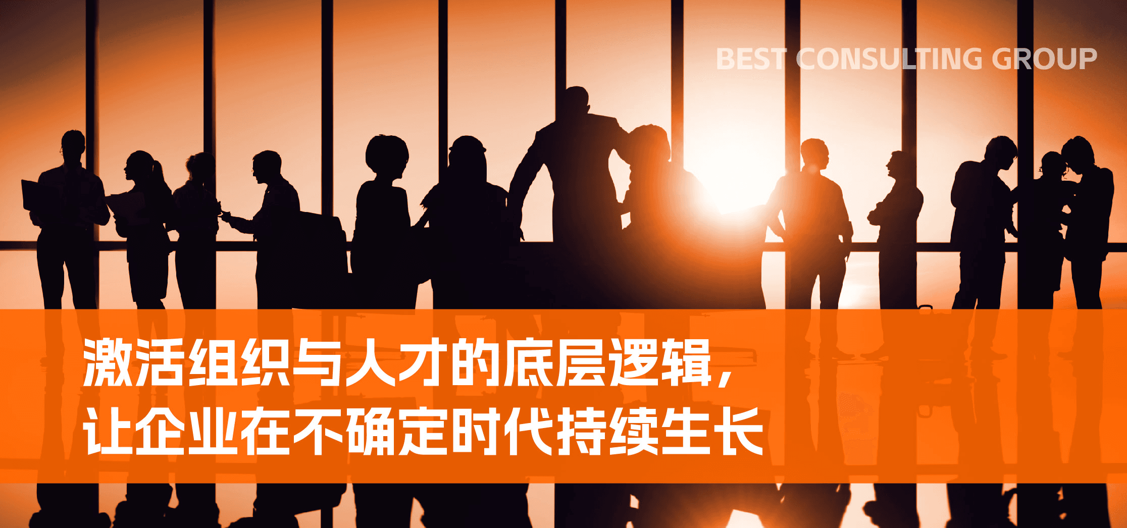 激活组织与人才的底层逻辑,让企业在不确定时代持续生长
