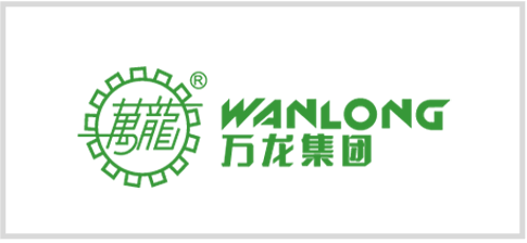万龙集团 logo