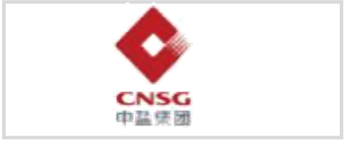 中盐集团 logo