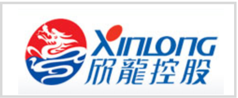 欣龙控股 logo