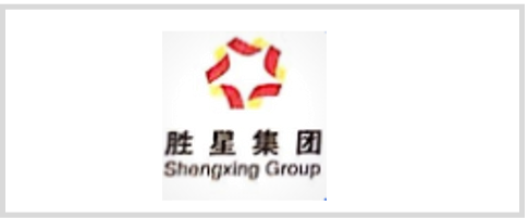 胜星集团 logo